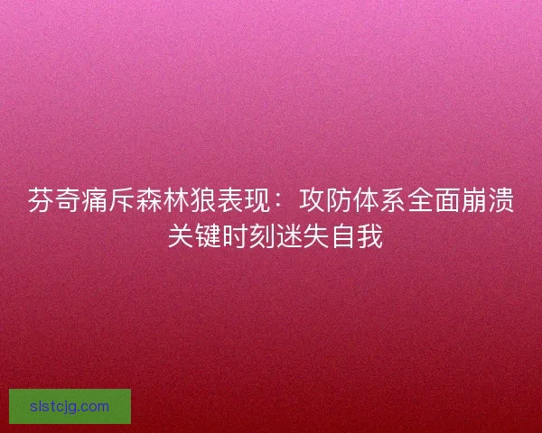 芬奇痛斥森林狼表现：攻防体系全面崩溃 关键时刻迷失自我