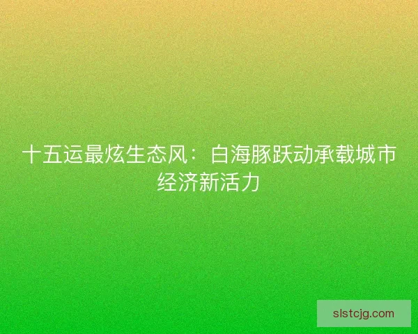 十五运最炫生态风：白海豚跃动承载城市经济新活力